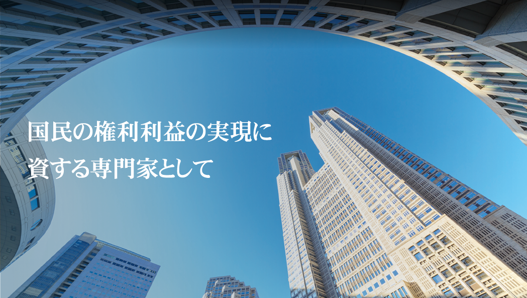 国民の権利利益の実現に資する専門家として